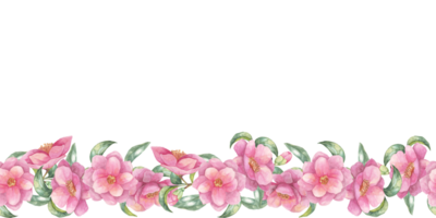 Pink camellia blossoms arranged in a horizontal seamless border are featured in this watercolor clipart. Great for enhancing event invitations, blog headers, and various print materials png