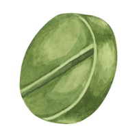 Green pill watercolor clipart displaying a round tablet with a deep green hue and a bisecting line. Perfect for medication packaging, healthcare advertisements, and educational visuals png