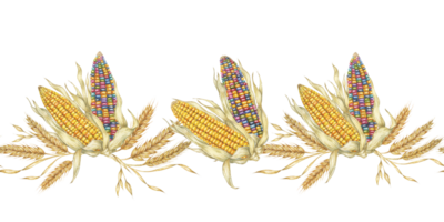 Corn seamless border clipart features watercolor corn cobs in multiple colors, perfect for adding a touch of nature to your designs. Ideal for use in brochures, banners, and fabric prints png