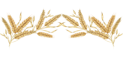 Wheat seamless border features golden watercolor wheat stalks arranged in a seamless pattern, ideal for rustic-themed projects. Use this clipart for stationery, web design, and print materials png