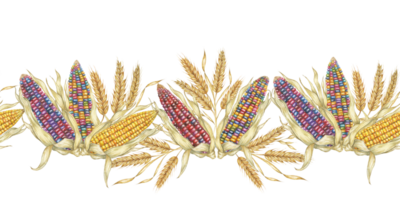 Corn seamless border clipart showcases colorful watercolor corn cobs in a seamless pattern, ideal for adding a festive and natural element to your designs, fabric patterns, brochures, and event decor png