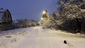 Snowy country road at evening time. Street lamp illuminating snow trail at winter night. Beautiful nature landscape with falling snowflakes at background. photo