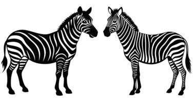 Two zebra silhouette art illustrations isolated on a white background vector