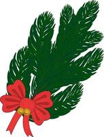 Green spruce branch with a red bow, Christmas. color drawing vector