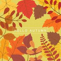 Hello autumn background, with abstract autumn leaves, templates for placards, banners, flyers, presentations, reports, sales, header, cover, social media, fashion ads, decor. vector