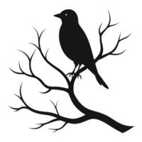 Bird silhouette on tree branch vector