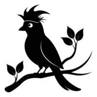 Bird silhouette on branch with leaves vector