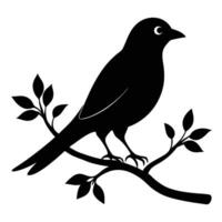 Bird on branch silhouette vector