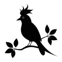 Bird silhouette on branch with leaves vector