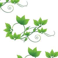 Elegant green vines with leaves and tendrils arranged on a white background showcasing natural beauty and design elements vector