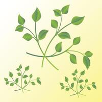 Fresh green leaves and branches arranged in an artistic layout with a soft yellow background, showcasing nature's beauty and tranquility. vector