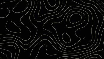 abstract pattern with lines. background of the topographic map. elevation contouring outline cartography texture. geographic abstract grid. futuristic wireframe lands. black and white seamless pattern vector
