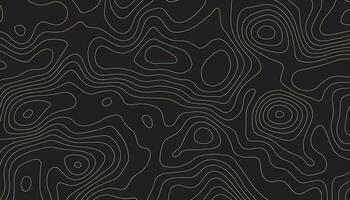 abstract pattern with lines. background of the topographic map. elevation contouring outline cartography texture. geographic abstract grid. futuristic wireframe lands. black and white seamless pattern vector