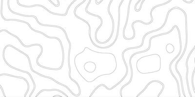 abstract pattern with lines. background of the topographic map. elevation contouring outline cartography texture. geographic abstract grid. futuristic wireframe lands. black and white seamless pattern vector