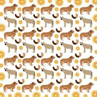 hyena, dog with fruit as a pattern background vector