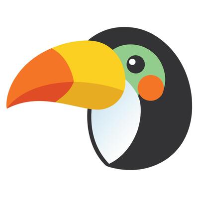 A toucan bird with a colorful beak