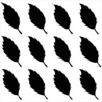 Feathers silhouette template vector