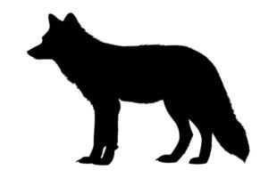 Arctic fox Silhouette isolated on a white background vector
