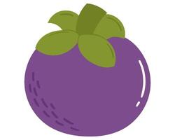 Fruit Mangosteen in cartoon hand drawn simple style. Editable variable color vector