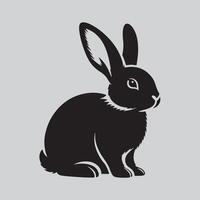 A Bunny design vector