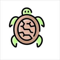 A turtle with a broken shell on a white background vector