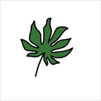 A green leaf icon on a white background vector