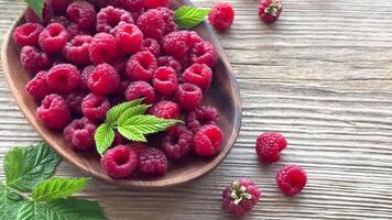 Fresh organic ripe raspberry video