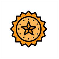 A star icon on a white background vector
