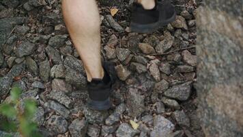 tourist with a backpack and in sneakers is climbing using his hands to the top of the cliff in the summer video