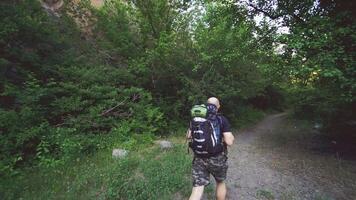 tourist with a backpack in shorts and a t-shirt is going along a path in the forest near the rock not far from precipice in a warm summer day video