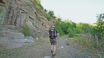 a traveler with back is walking on the path with a stick in his hand near the rocks in the summer day on the background of green trees video