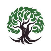 tree icon isolated vector