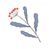 Winter twig hand drawn doodle with red berries, element botanical design. vector