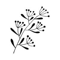 Twig with leaf and berry, silhouette branch hand drawn, doodle element design on white background. vector