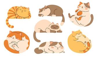 Set of flat illustrations in children's style. Cute sleeping cats on white background vector