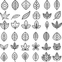 Outline Leaf Icon Collection vector