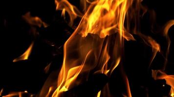 Bonfire. Slow motion. Real fire flame on a black background. video