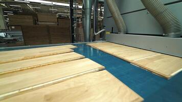 Modern parquet grinding technology at a woodworking factory. The process of processing uneven boards. Line of manufacturing. Close-up video