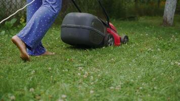 human is controlling the work of lawn mower near the path in the yard in the summer. The lawn mower consistently is mowing grass video