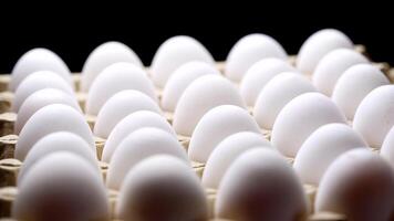 White chicken eggs in a cardboard box. Eggs in a paper tray. video