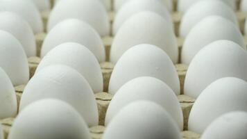 White chicken eggs in a cardboard box. Tray of eggs video