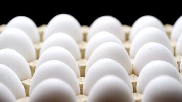 White chicken eggs in a cardboard box. Eggs in a paper tray. video