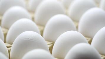 White chicken eggs in a cardboard box. Eggs in a paper tray. video