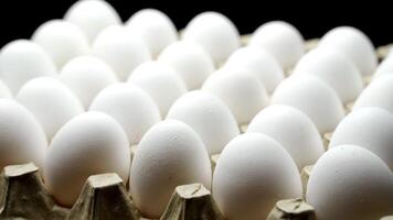 White chicken eggs in a cardboard box. Eggs in the container video