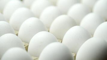 White chicken eggs in a cardboard box. Eggs in a paper tray. video