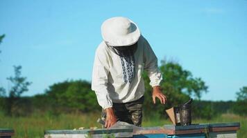Young beekeeper working in the apiary. Beekeeping concept. Beekeeper harvesting honey video