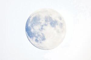 Full moon isolated on white background. Clipping path. photo