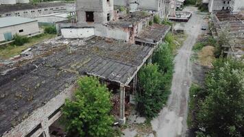 Aerial view. Ruined old building, tilt down to the dry grass and bushes. Abandoned factory halls with broken glass on windows. Apocalyptic scene with destroyed warehouse. video