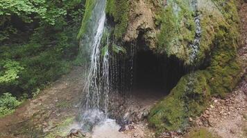 view of a high waterfall in the middle of the forest in the summer. Water flows from a moss-covered rock. Camera motion up video