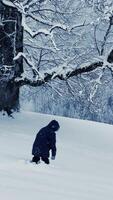 A child explores a snowy winter wonderland, filled with joy, adventure, and innocence video
